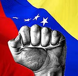 Venezuela puño izquierdo bandera